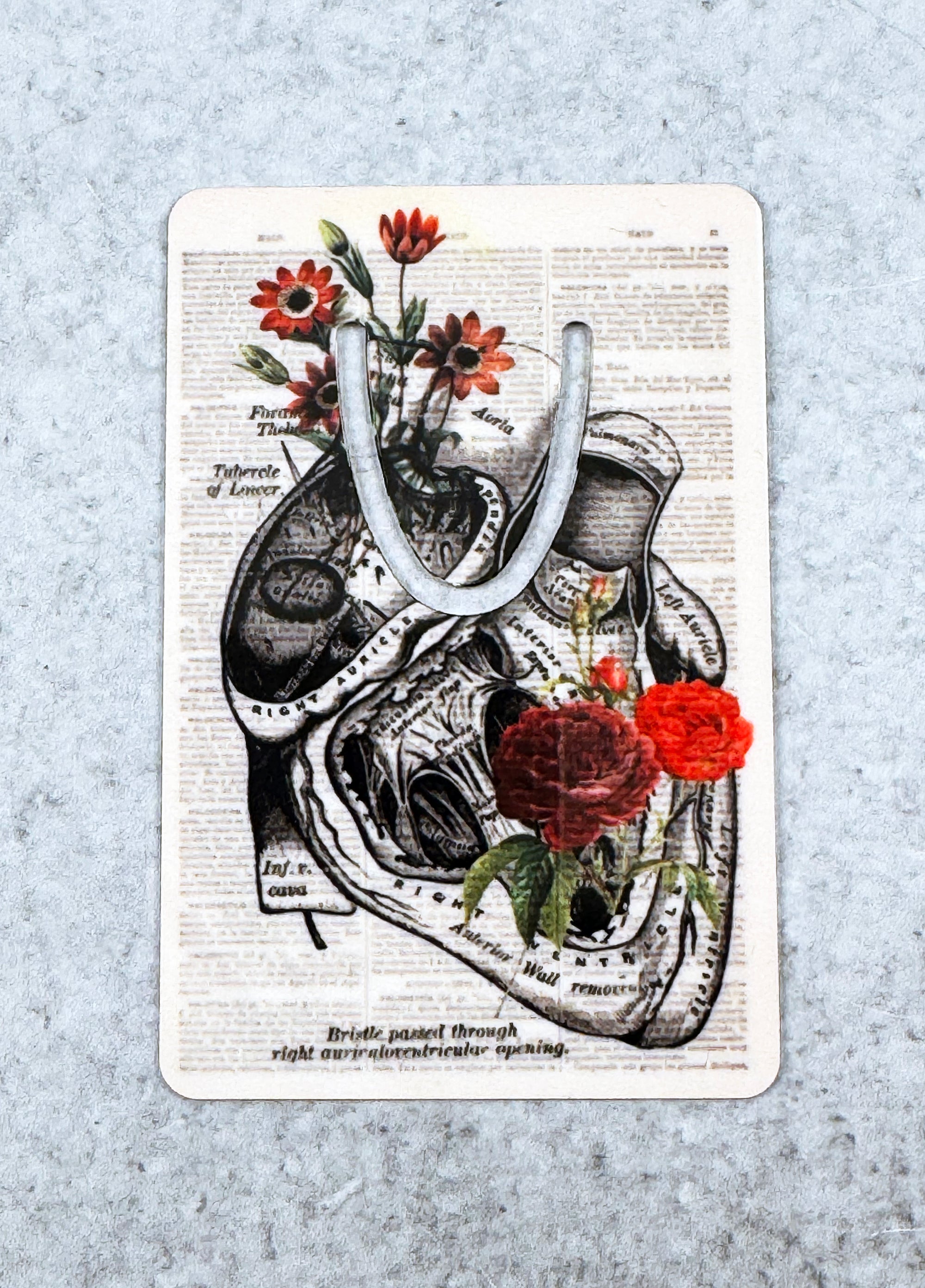 Anatomical Heart Metal Bookmark