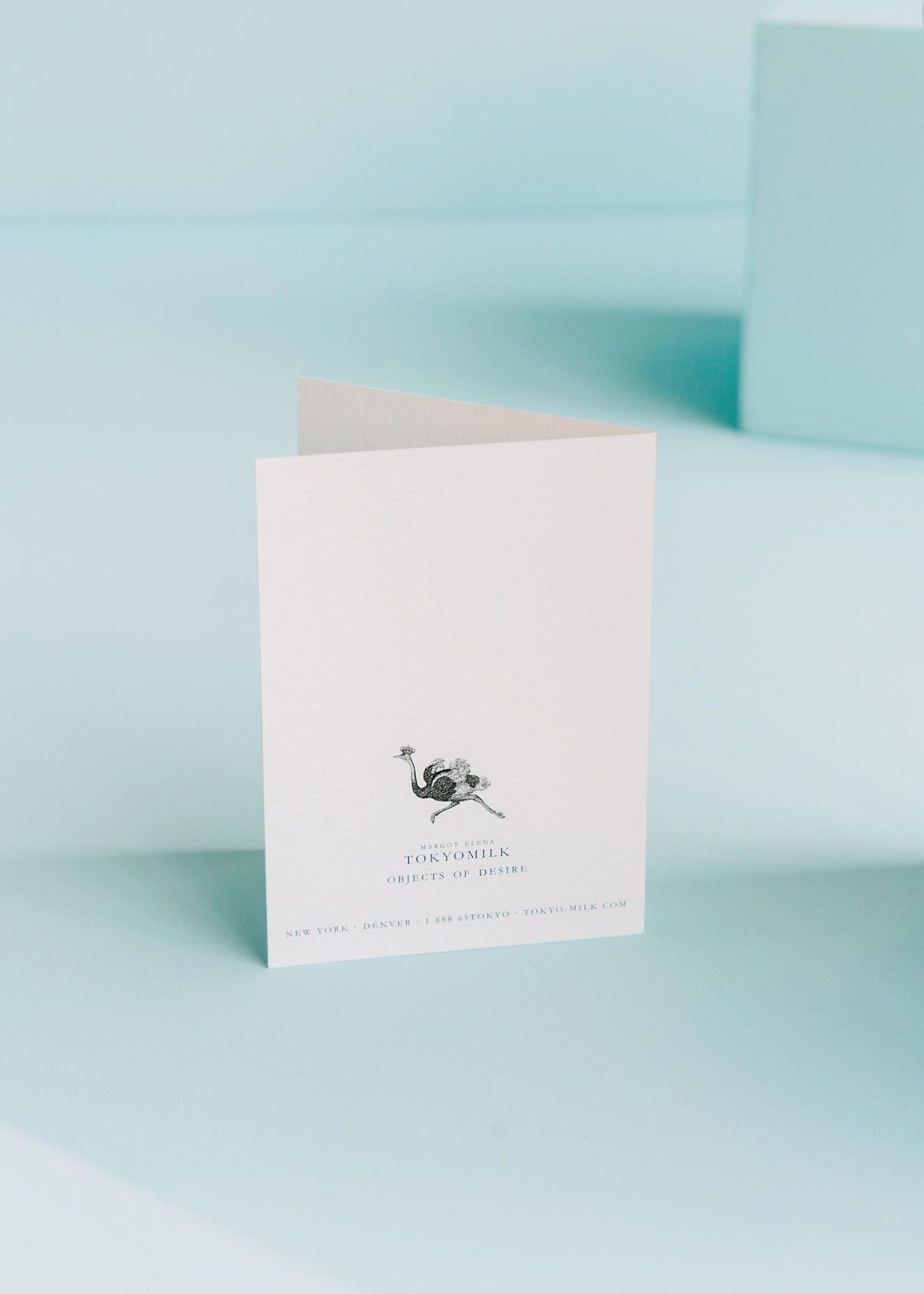 TokyoMilk Chicks Nite Out Greeting Card