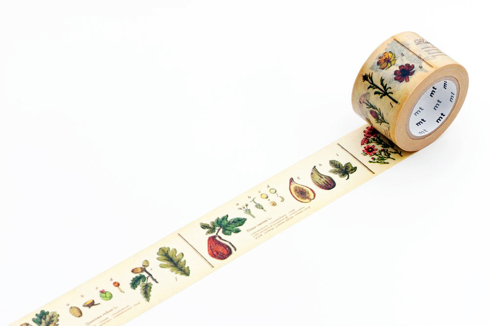 Encyclopedia of Plants MT Washi Tape
